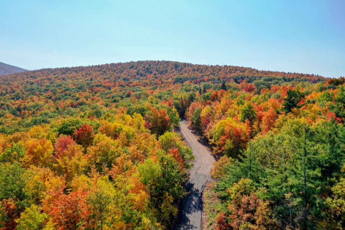 Aerial view of fall foliage along the Catskill Mountains in upstate New York along Five State Lookout