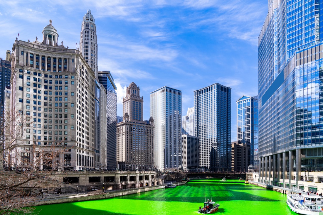 Chicago Skylines building along green dyeing river of Chicago River on St. Patrick's day festival in Chicago Downtown
