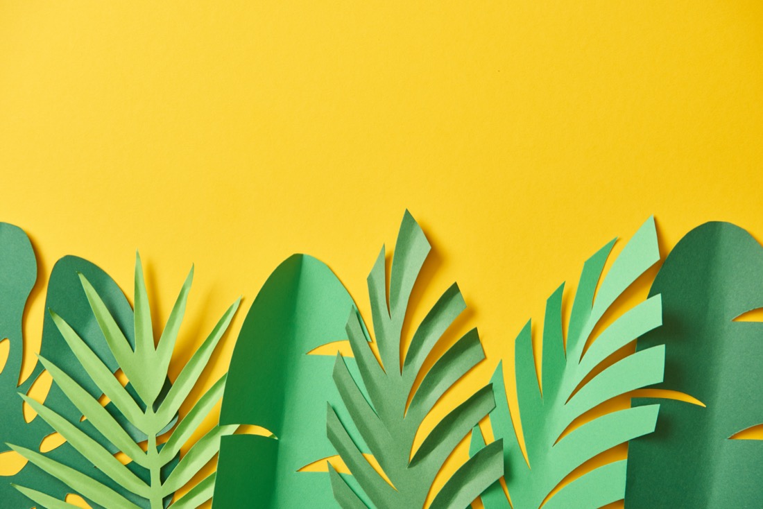Paper plants on yellow background