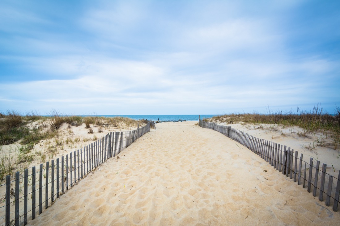 Path to the beach at Cape Henlopen State Park in Rehoboth Beach, Delaware.