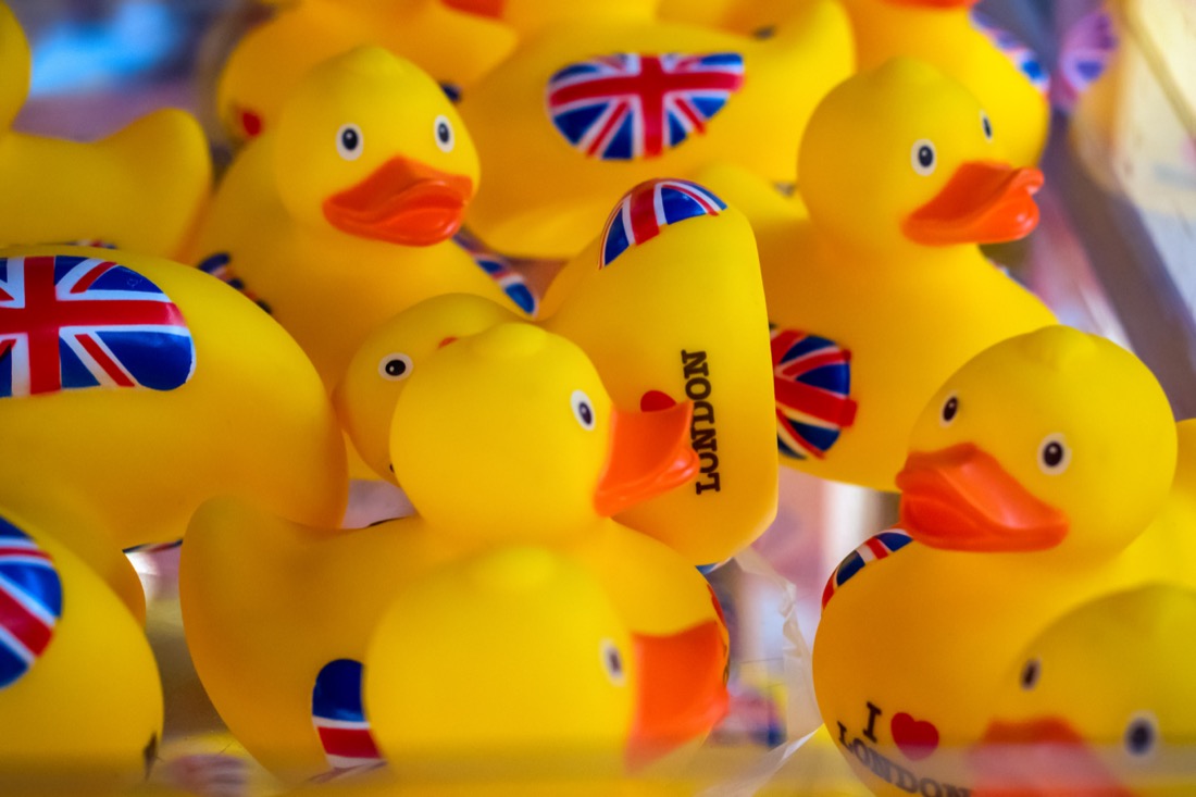 Rubber ducks with UK flag