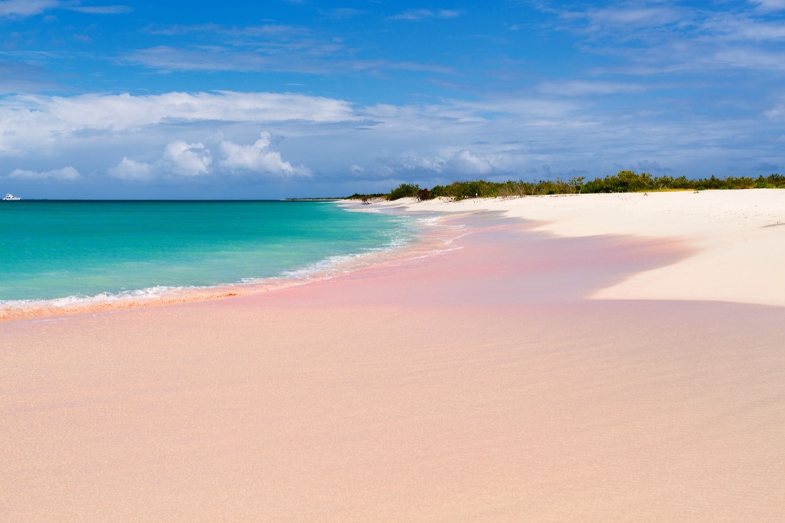Tropical beach on Barbuda Island.