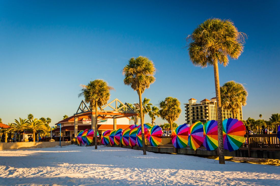 Palm Trees and Colorful Umbrella at Clearwater Beach, Florida