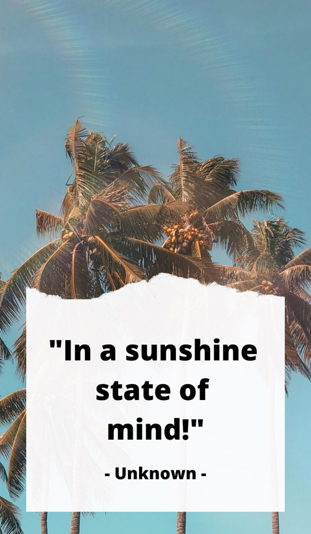 Text In a sunshine state of mind. Image of palm trees.
