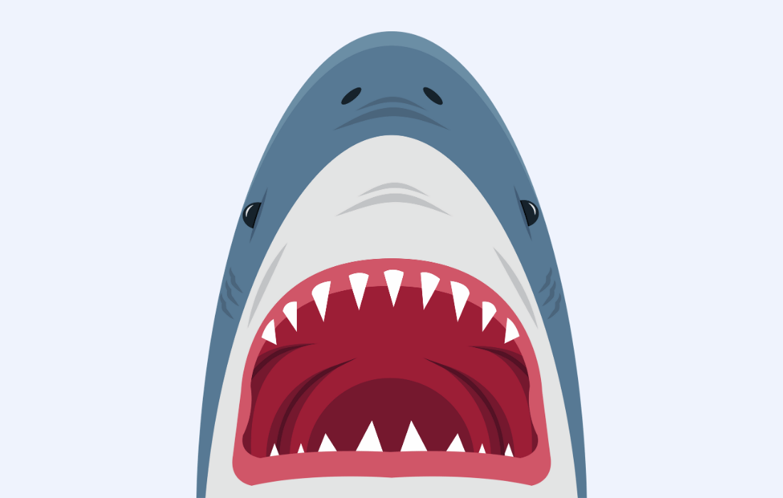 Image of a shark with mouth open